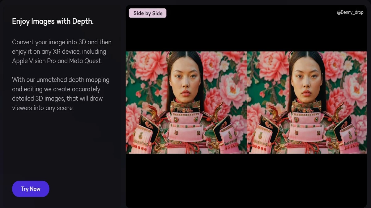 2D to 3D image converter feature on immersity ai