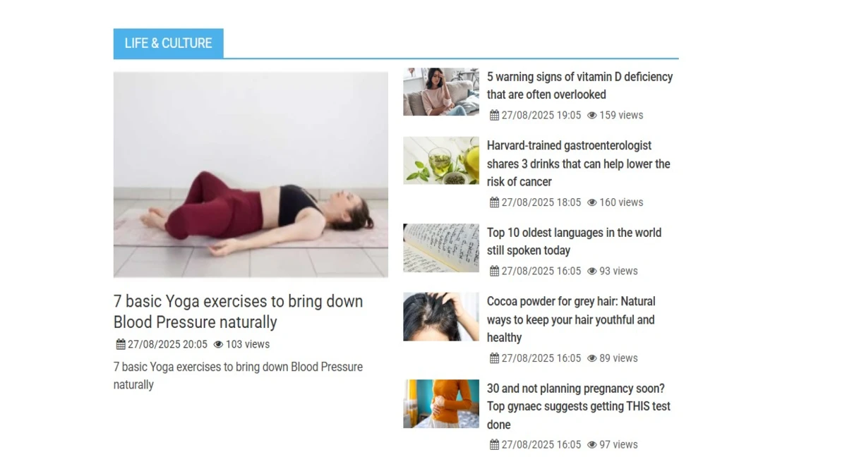 artaverse.org global news lifestyle section