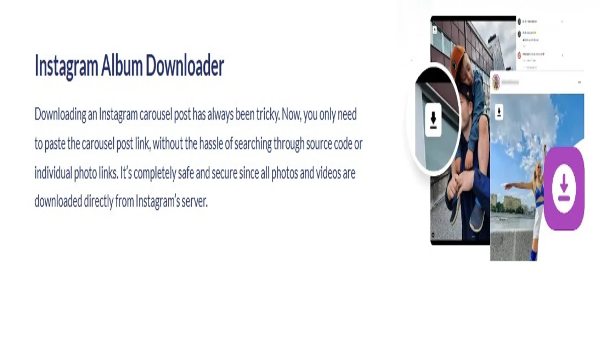 album downloader on igsty com