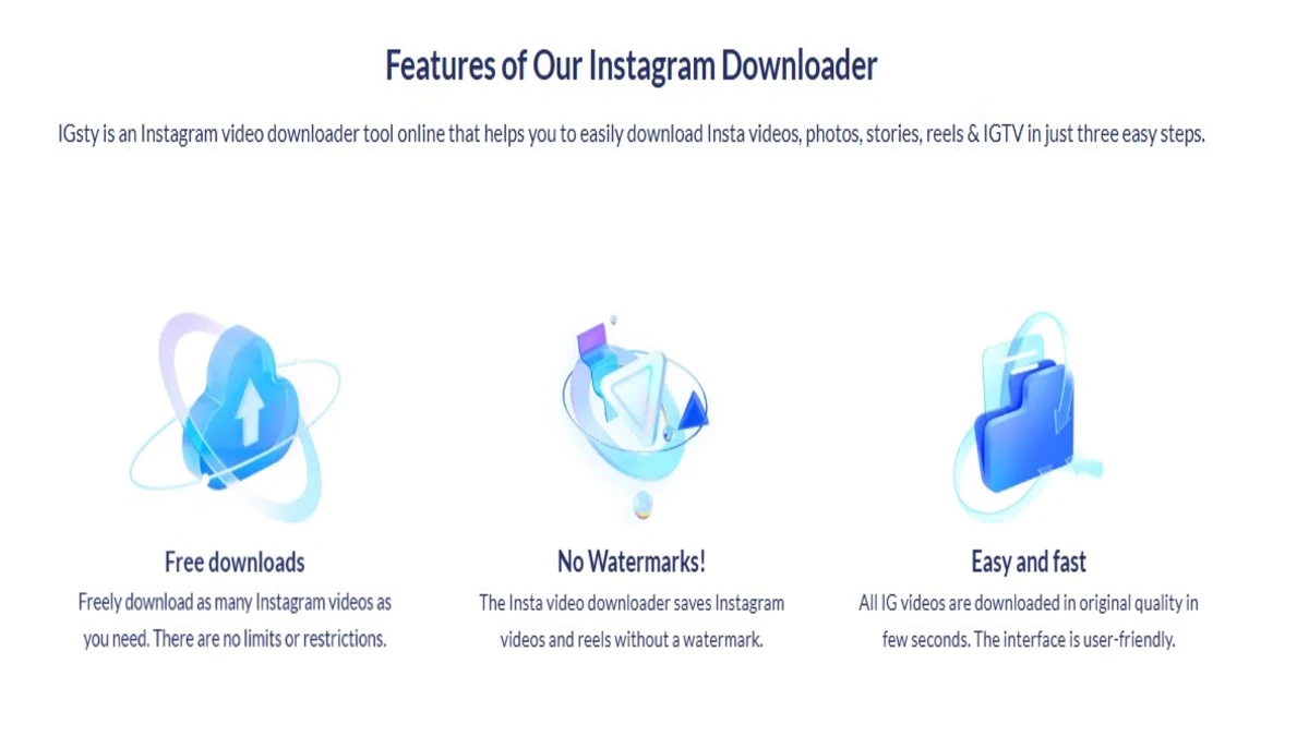 features of the instagram downloader app igsty com