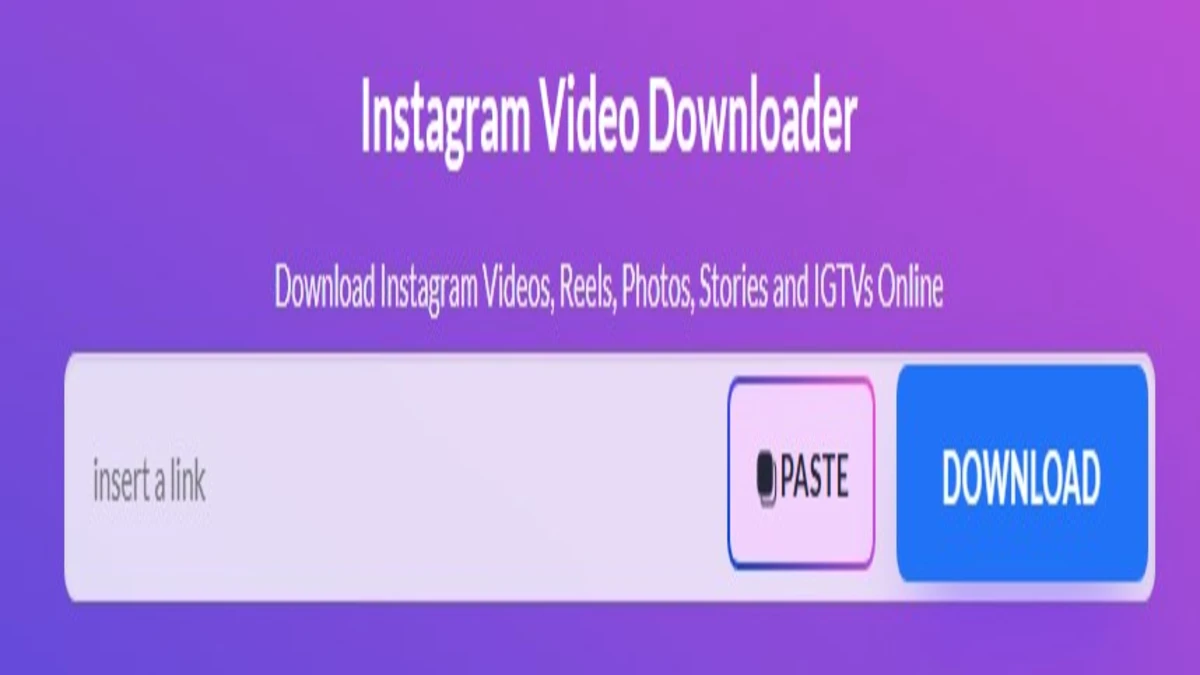 instagram video downloader on igsty com